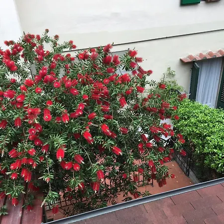 Comfy Unit Suitable For Work Patio 피렌체