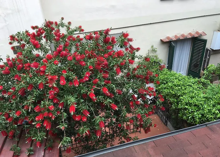 Comfy Unit Suitable For Work Patio Florence